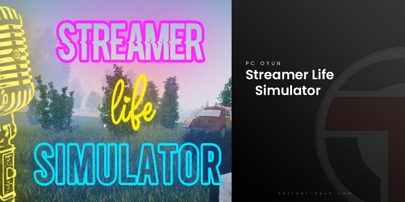 Streamer Life Simulator Sistem Gereksinimleri
